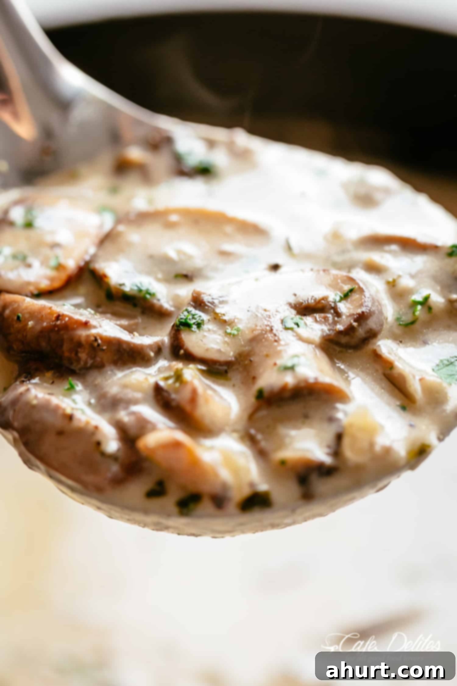 Velvety Forest Mushroom Puree 3 Homemade Creamy Mushroom Soup on a ladle