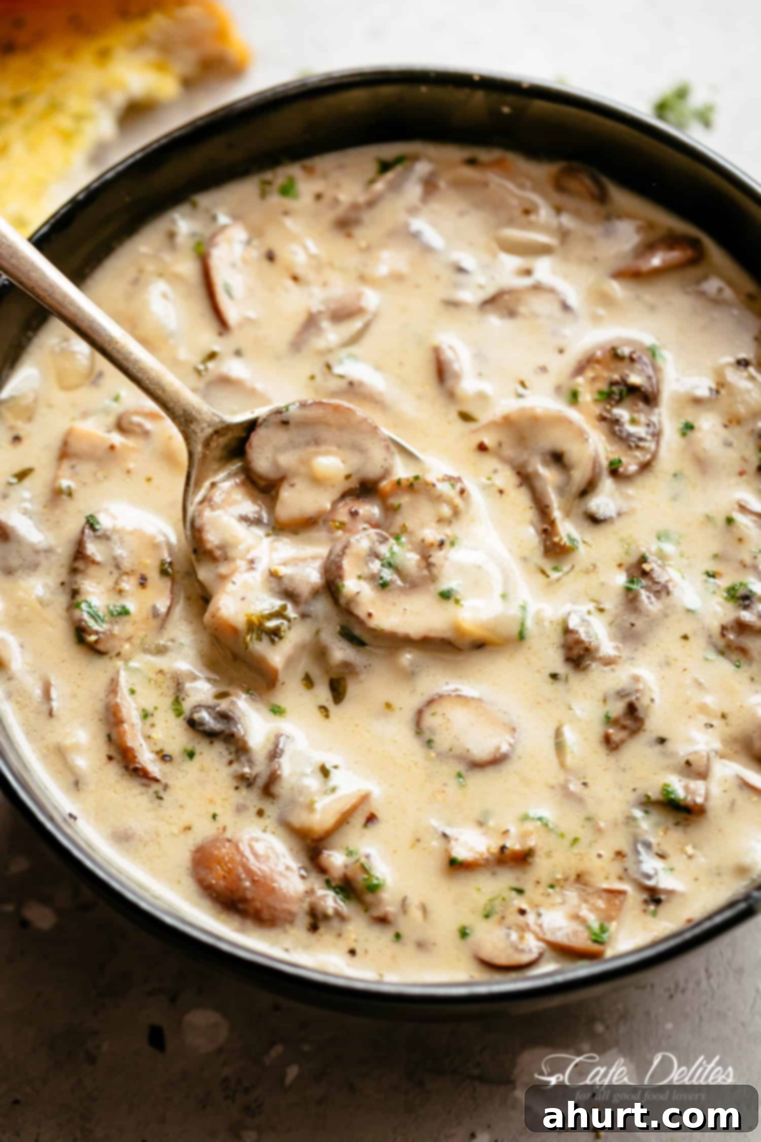 Velvety Forest Mushroom Puree 5 Cream of Mushroom Soup in a bowl