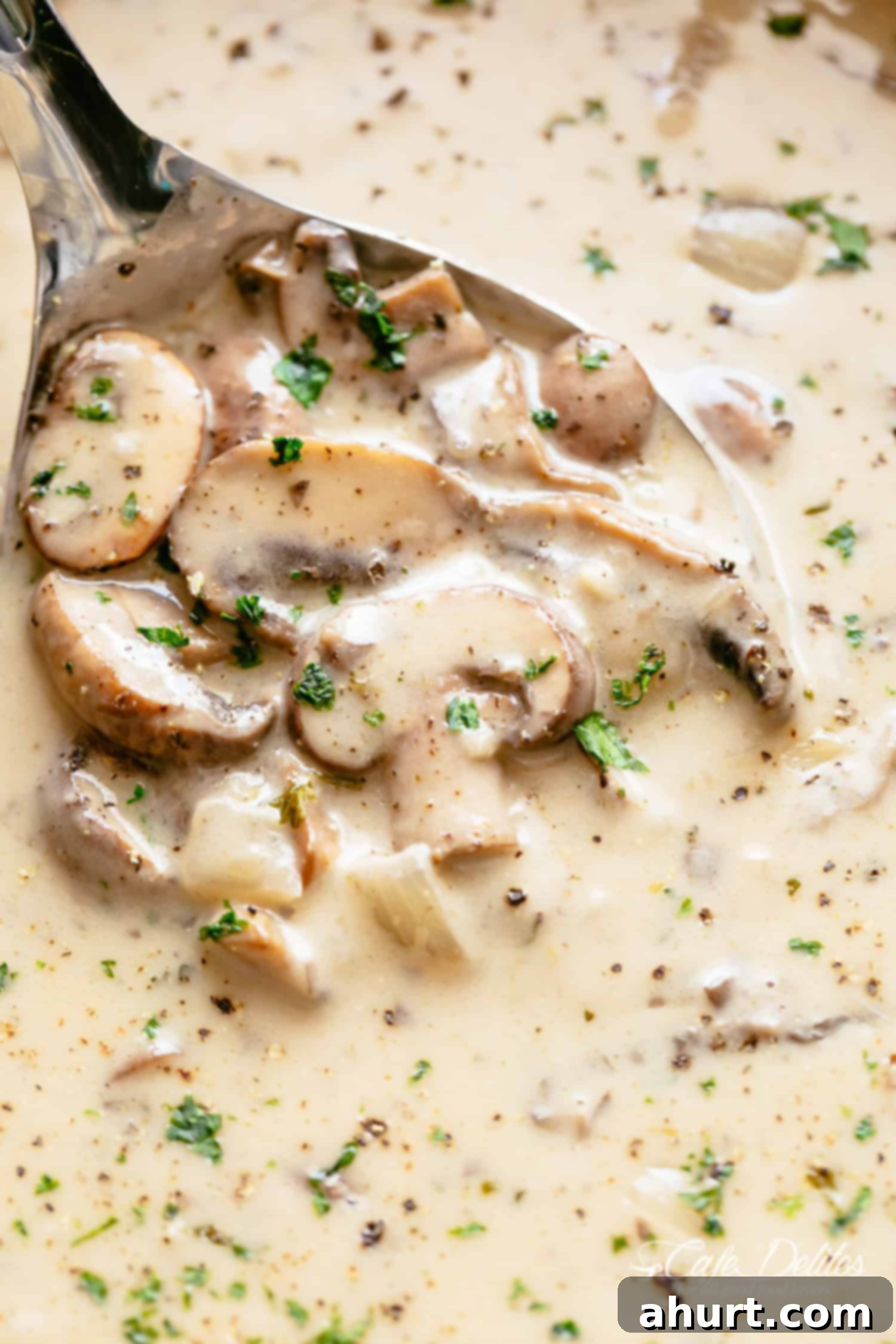 Velvety Forest Mushroom Puree 6 Mushroom Soup ready and on your table in minutes