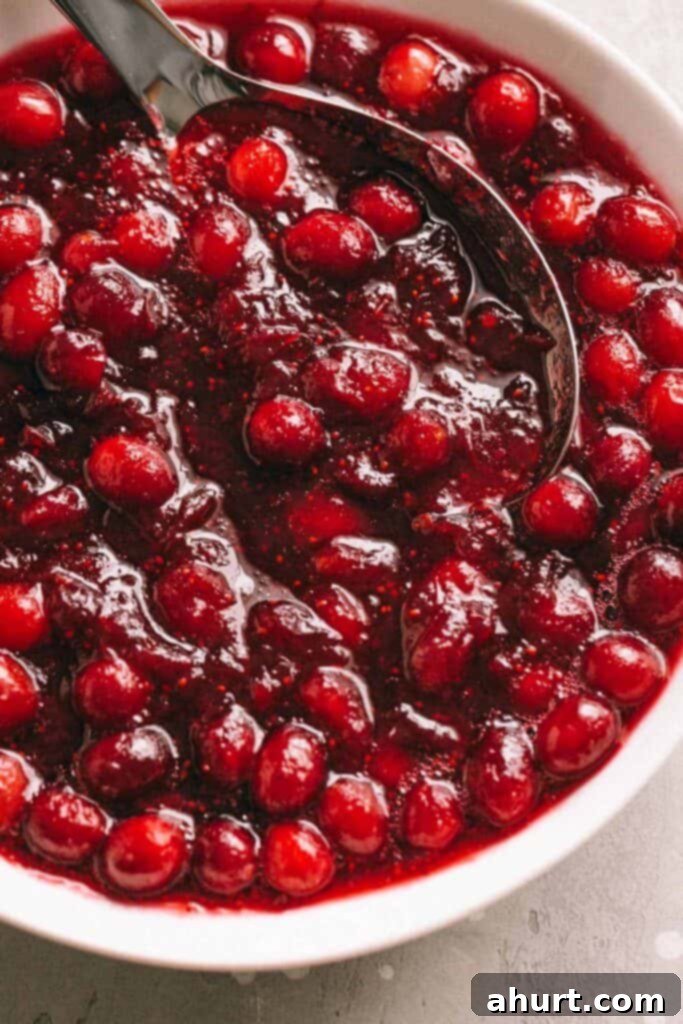 The Ultimate Cranberry Sauce 2 Cranberry Sauce with spoon