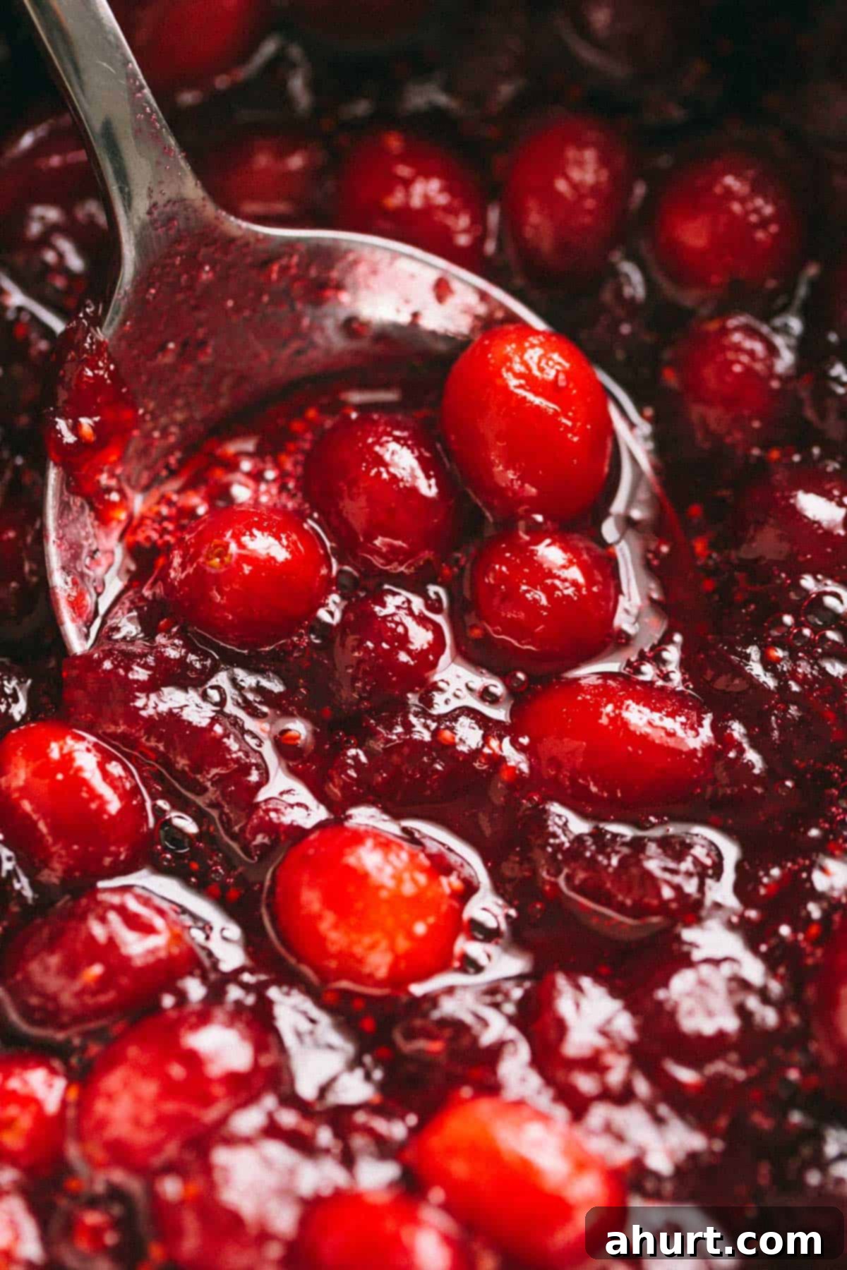 The Ultimate Cranberry Sauce 10 Zoom in image of Cranberry Sauce