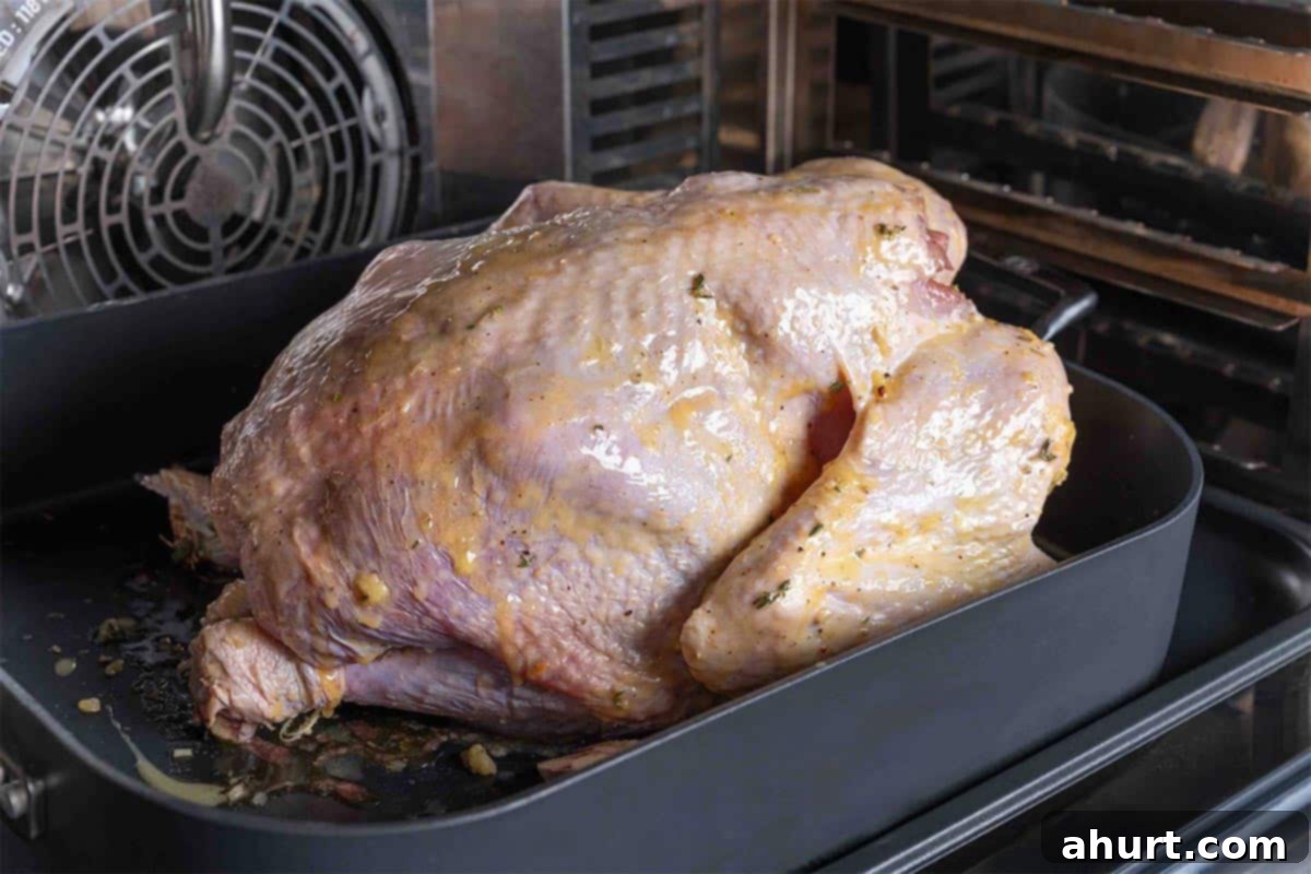 Perfect Herb Butter Roasted Turkey 7 basted turkey in oven in a pan