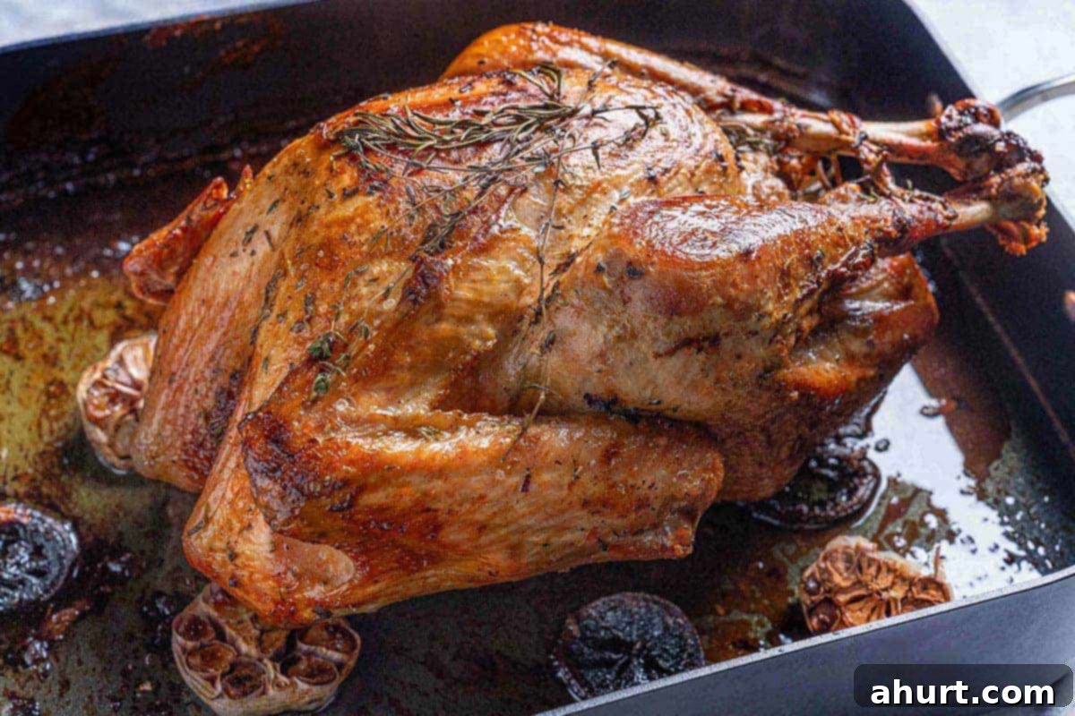 Perfect Herb Butter Roasted Turkey 8 Juicy roasted turkey fresh out of the oven with golden crispy skin