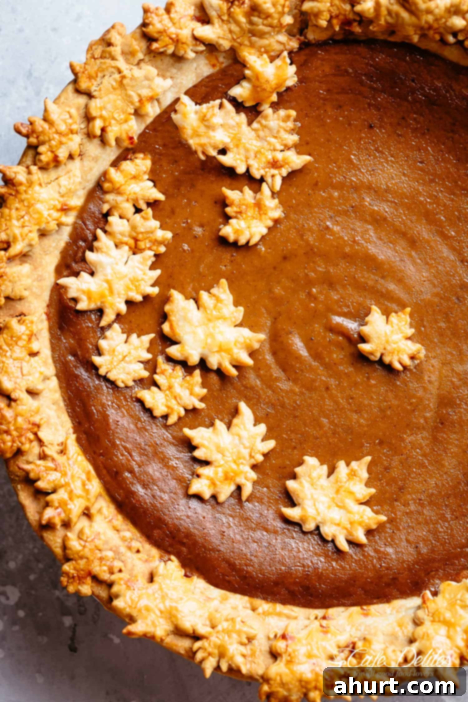 Homemade Pumpkin Pie Recipe #cafedelites #pumpkin #pie #dessert #thanksgiving Homemade Pumpkin Pie, Canned or fresh pumpkin puree with cream (or evaporated milk), brown sugar(s), white sugar, eggs and delicious fall spices.
