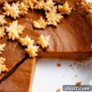 Classic Pumpkin Pie 9 Top view of Pumpkin Pie