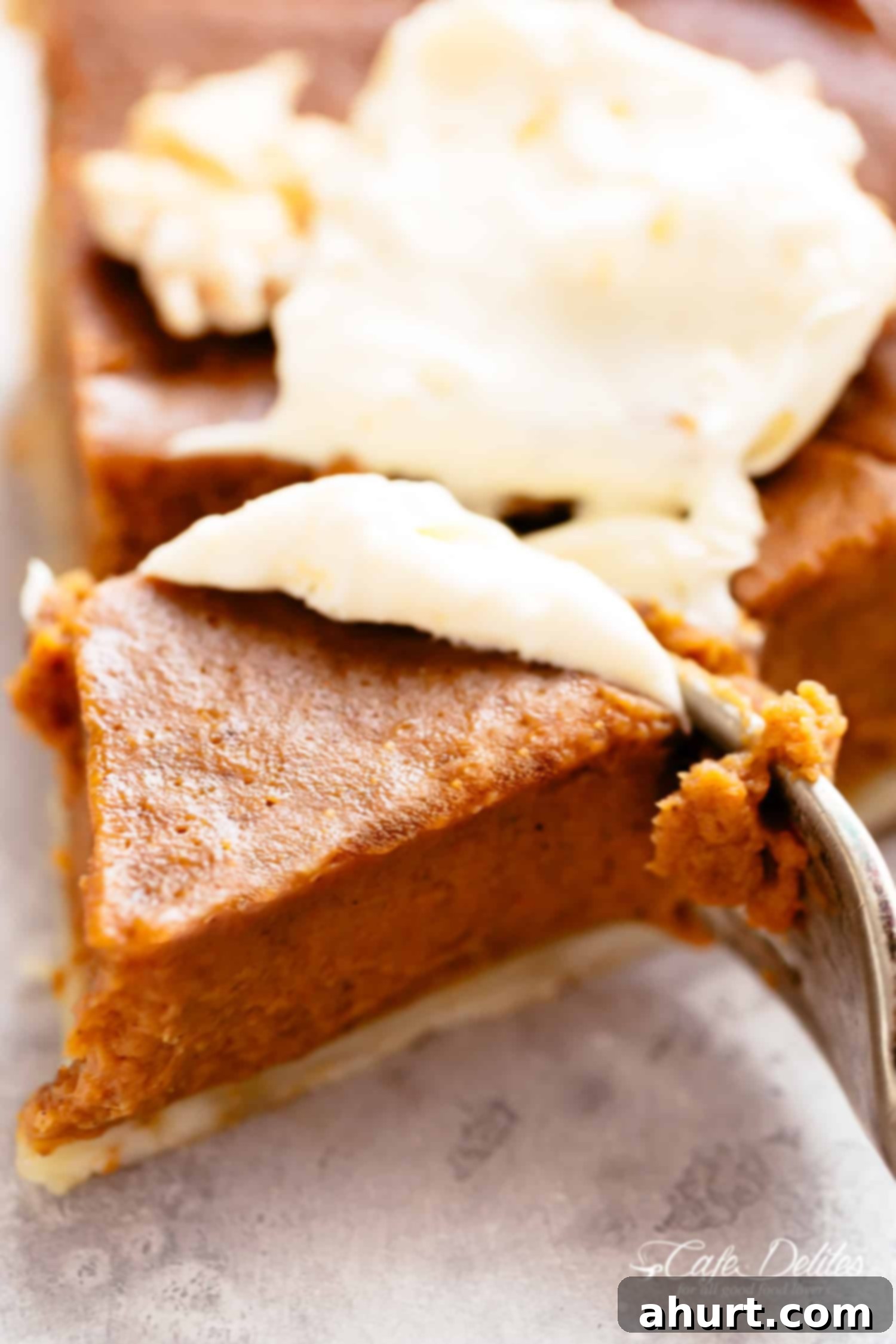Eating pumpkin pie! #cafedelites #pie Pumpkin Pie with cream