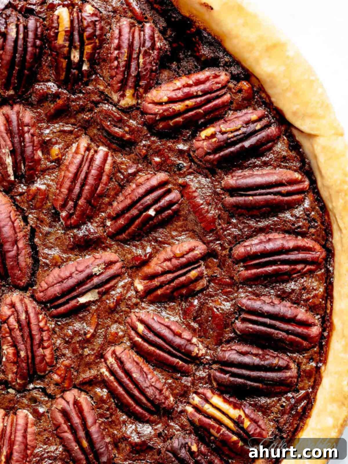 Decadent Chocolate Pecan Pie 2 Close up image of a completed chocolate pecan pie with a golden, flaky crust, garnished with whole pecans on top.