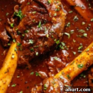 Fall-Off-The-Bone Lamb Shanks 13 Spicy Lamb Shanks