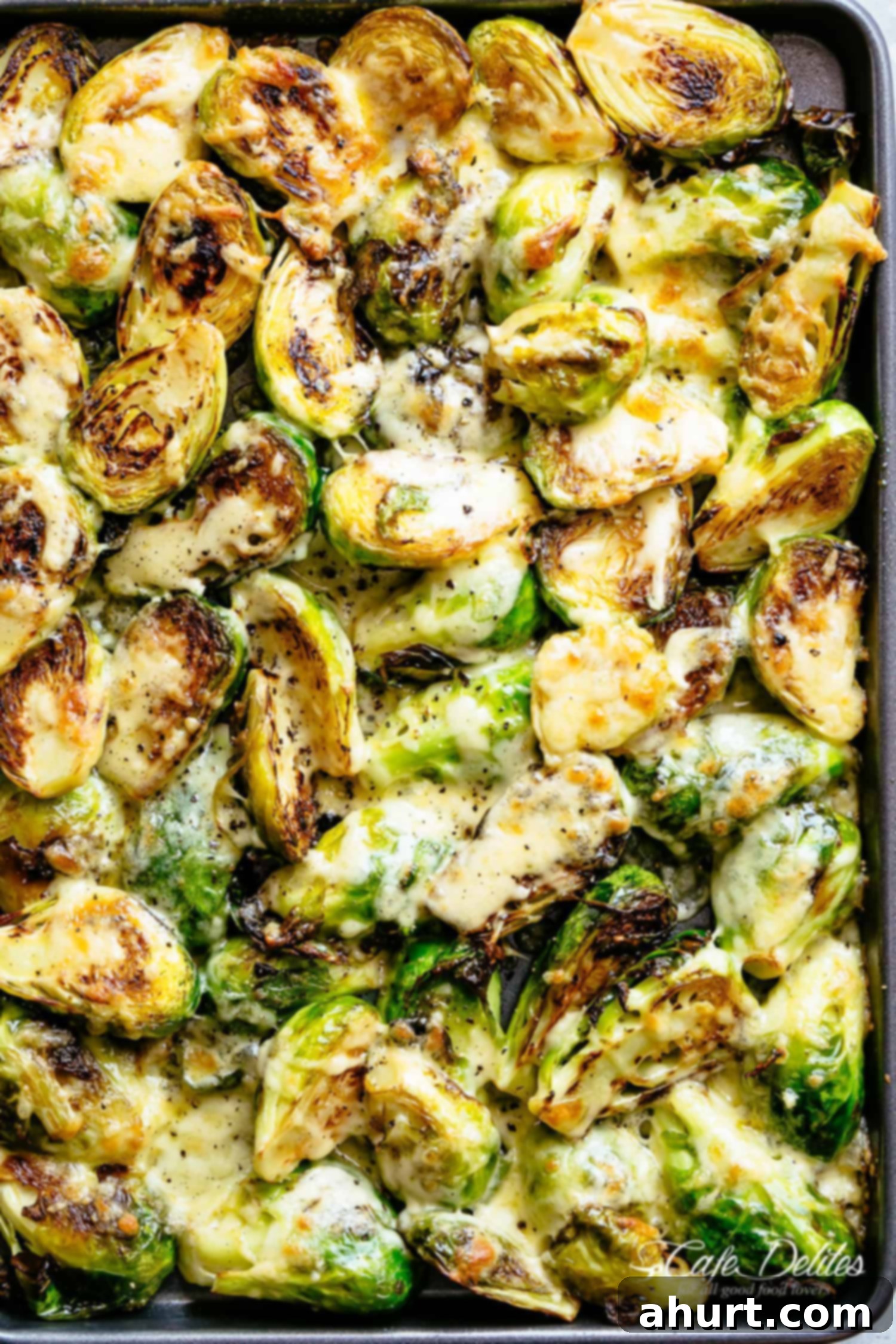 Garlic Roasted Brussels Sprouts with cheese | cafedelites.com Cheesy Garlic Roasted Brussels Sprouts Recipe caramelized and topped with melted mozzarella cheese!