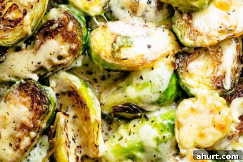 Cheesy Brussels Sprout Delight 8 Roasted Brussels sprouts topped with shredded mozzarella cheese, ready for broiling.