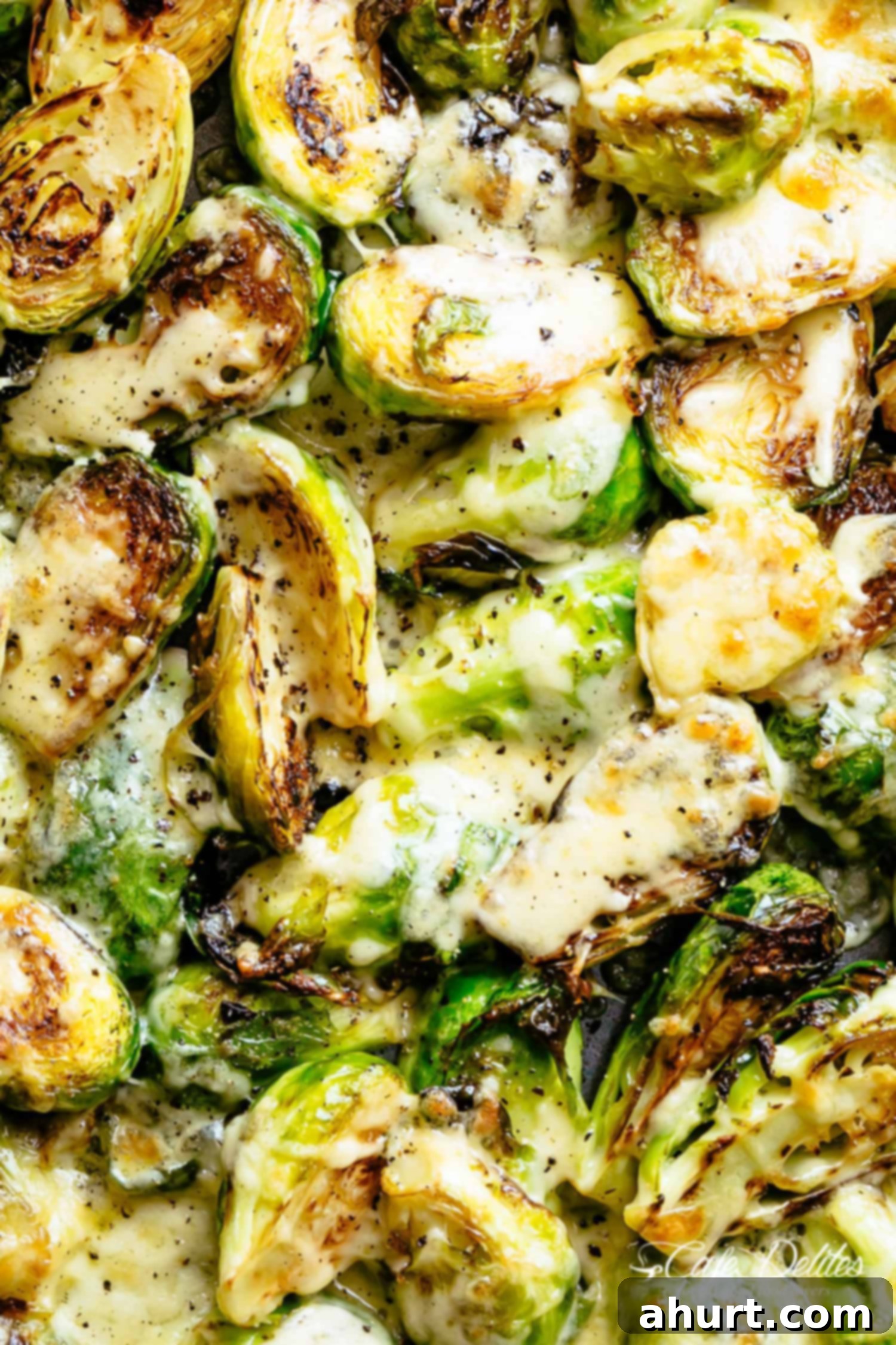 Brussels Sprouts taste good | cafedelites.com Top view image of Cheesy Garlic Roasted Brussels Sprouts Recipe caramelized and topped with melted mozzarella cheese!