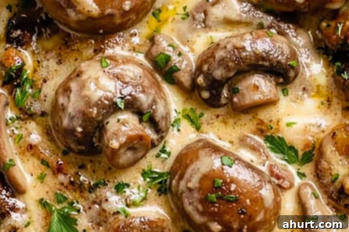 Creamy Garlic Mushrooms 8 Add salt and pepper into the pan and continue to simmer until mushrooms are tender