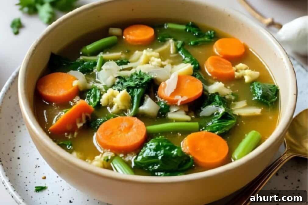 Wholesome Garden Soup 7 img 61547 6
