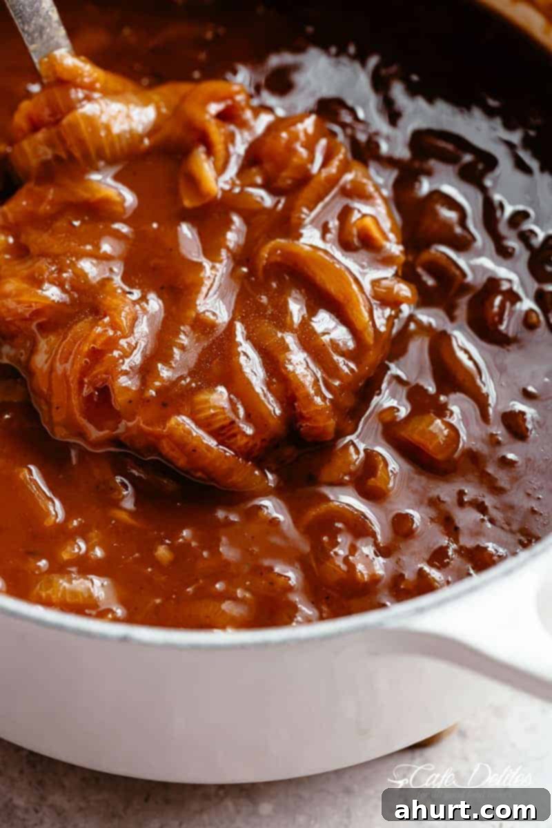 Ladle of French onion soup