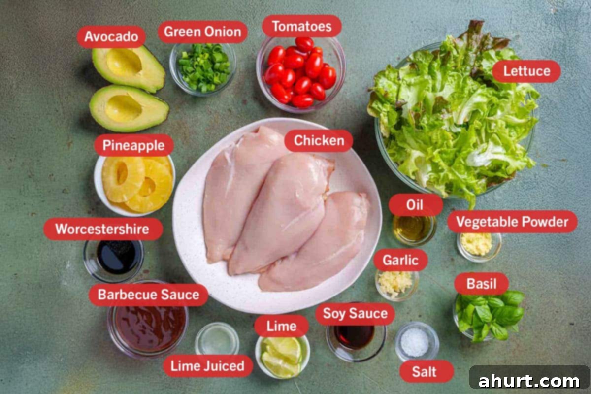 Zesty Garlic-Lime Grilled Chicken Salad 3 Image of all the needed ingredients for the preparation of this recipe, specifically: chicken, lettuce, oil, vegetable powder, garlic, basil, soy sauce, salt, lime, lime juice, barbecue sauce, worcestershire sauce, pineapple, avocado, green onion, tomatoes.