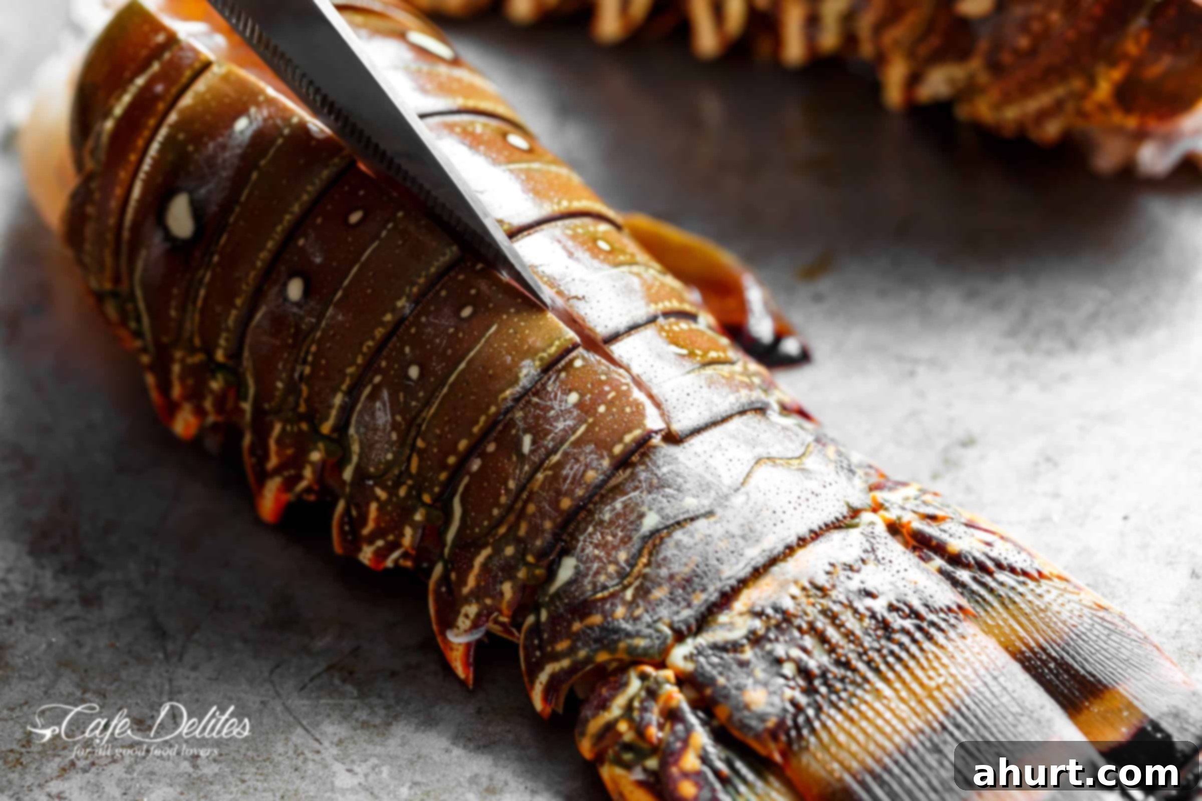 Lobster tails cutting with kitchen shears #howto #cut #prepare #lobstertails Close up image of a knife cutting up a raw lobster tail.