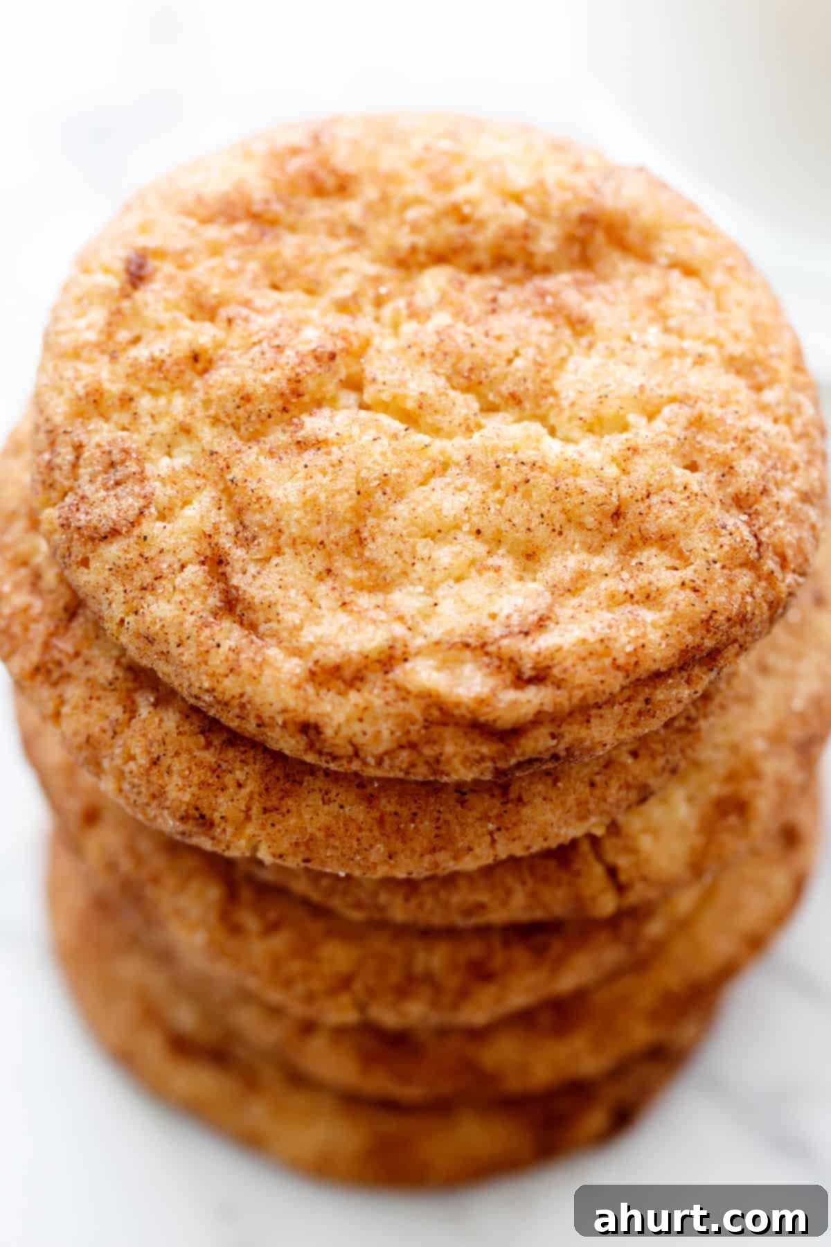 Classic Snickerdoodle Cookies 2 Snickerdoodle Cookies stacked on each other