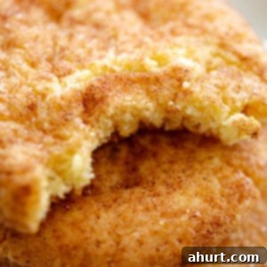 Classic Snickerdoodle Cookies 11 Fluffy Snickerdoodle Cookies