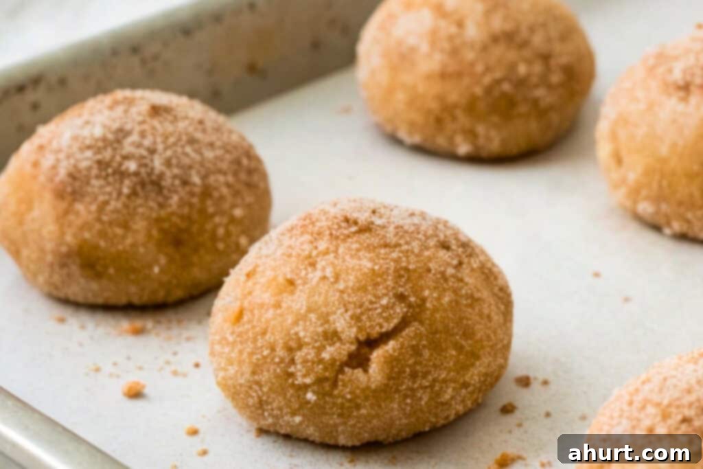Classic Snickerdoodle Cookies 8 Step 5: Roll dough into balls and coat in cinnamon sugar