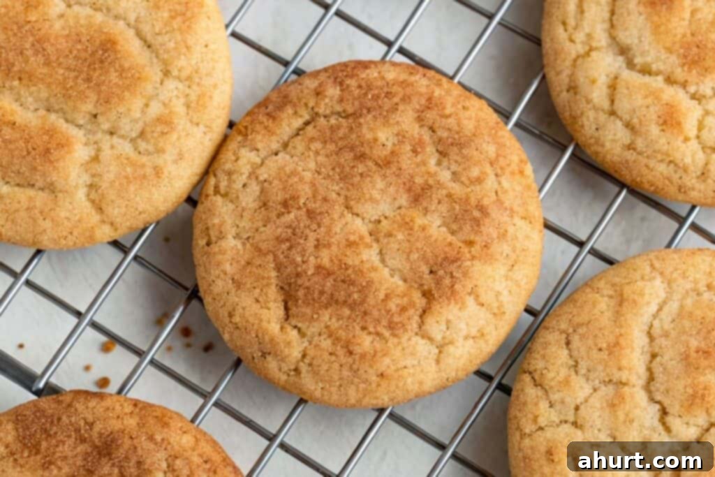Classic Snickerdoodle Cookies 9 Step 6: Bake and cool cookies