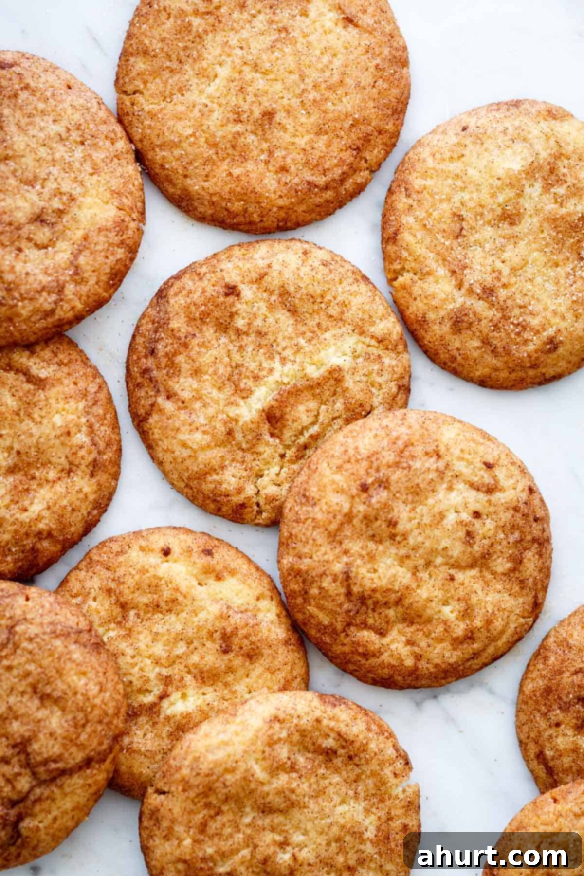 Classic Snickerdoodle Cookies 10 Top view of Soft Snickerdoodle Cookie