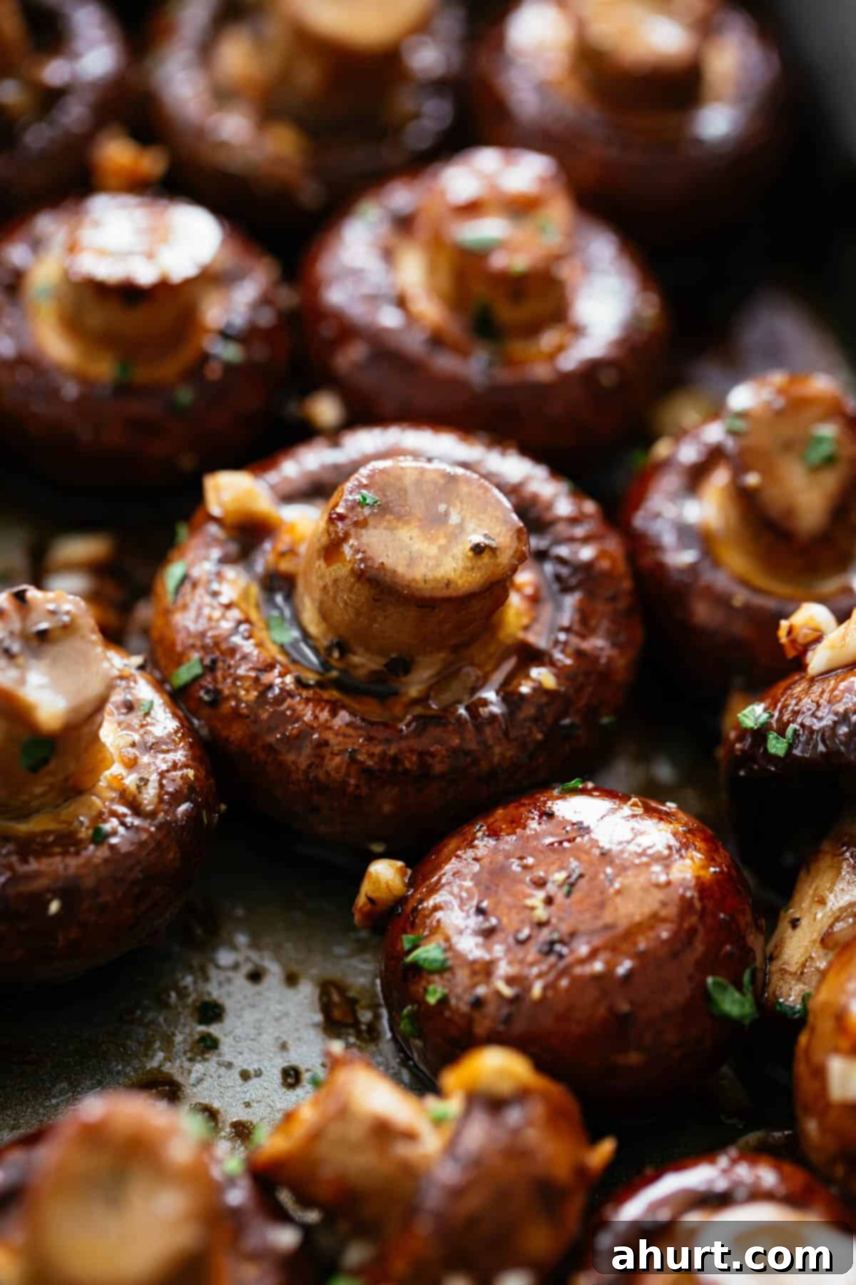 Balsamic Soy Glazed Roasted Mushrooms 8 Zoom in image of Roasted mushrooms