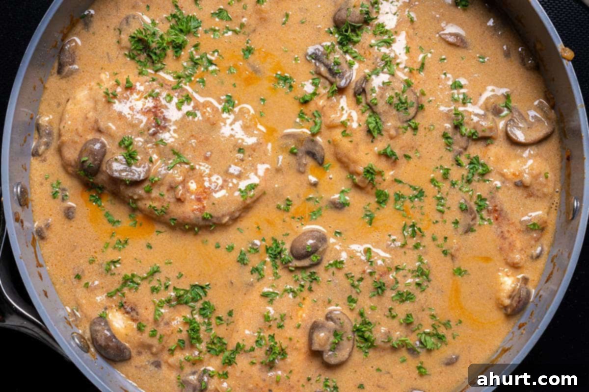 Chicken Stroganoff 10 Chicken Stroganoff in a pan garnished with parsley