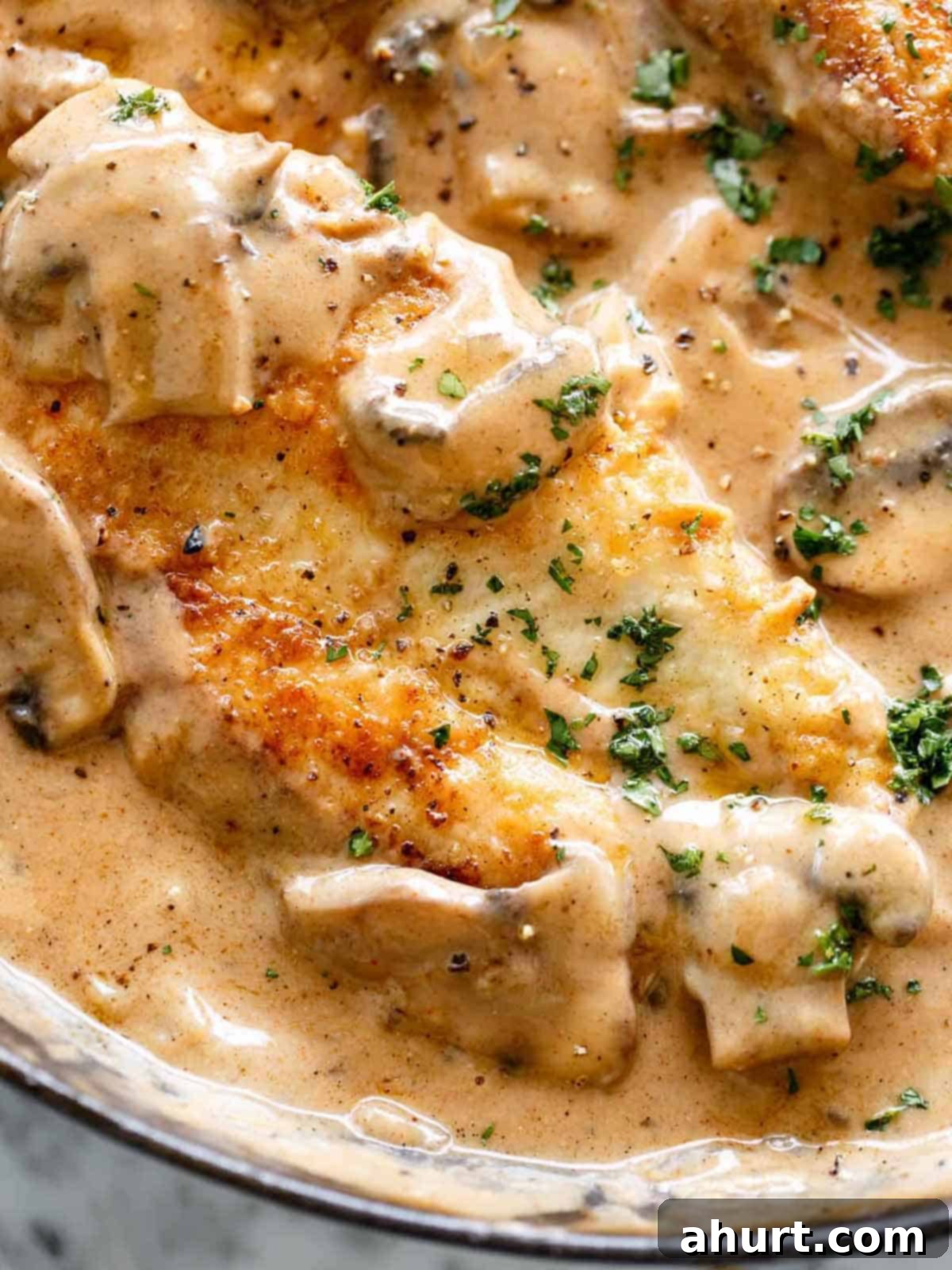Chicken Stroganoff 11 Creamy Chicken Stroganoff in a bowl