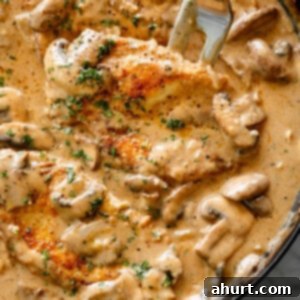 Chicken Stroganoff 12 Chicken Stroganoff in a bowl