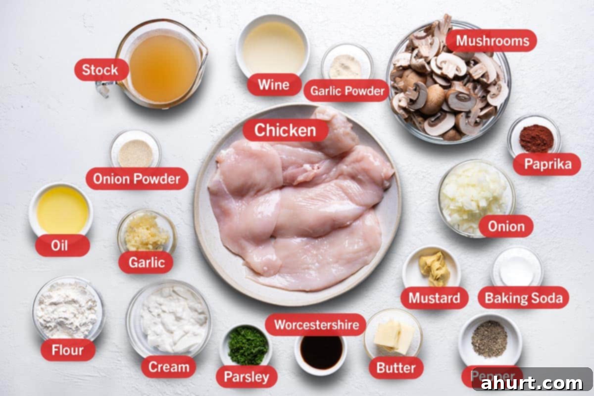 Chicken Stroganoff 2 ingredients from a top down angle against a white background.