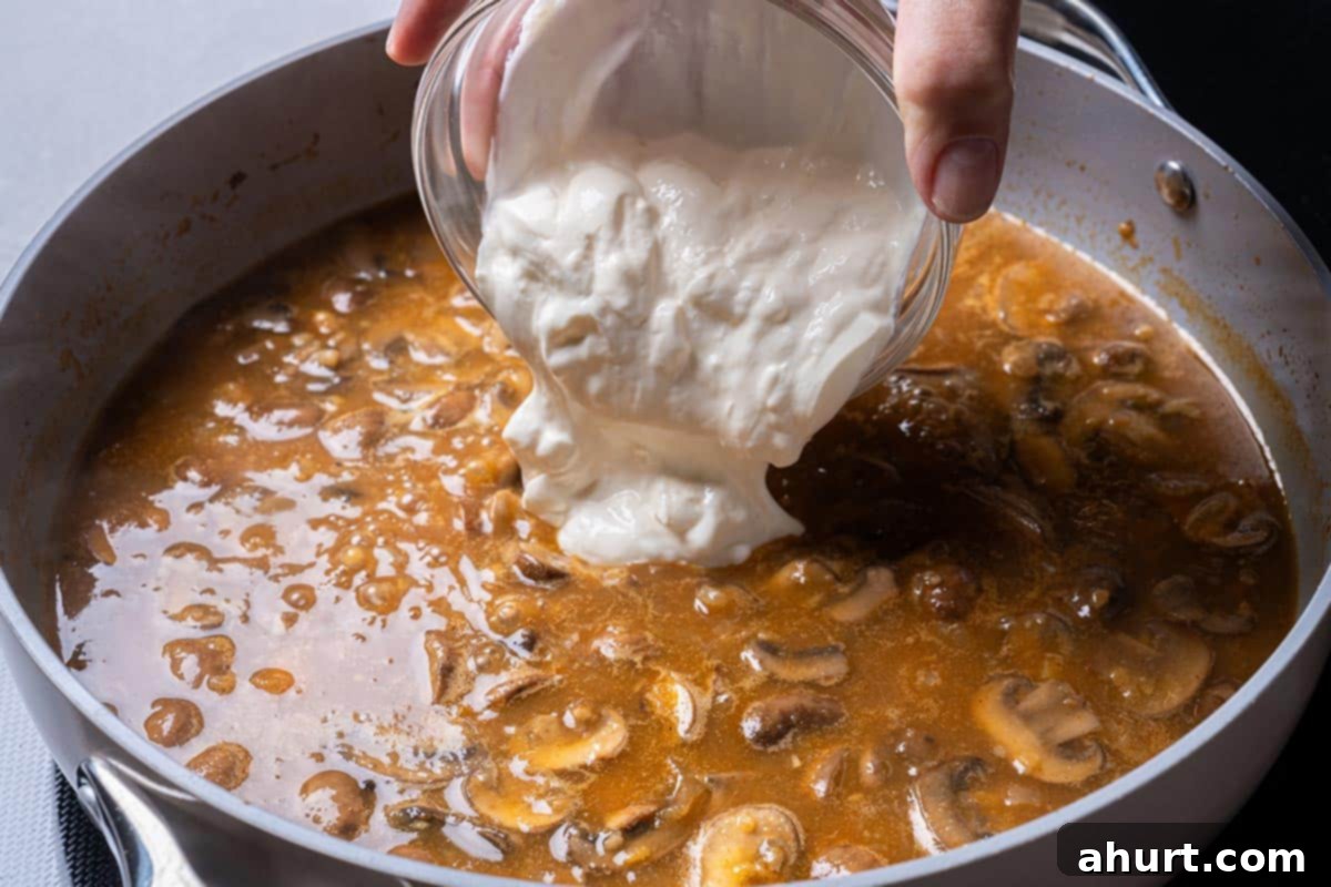 Chicken Stroganoff 8 mushrooms and seasonings with stock and wine in a pan with flour and having sour cream poured in