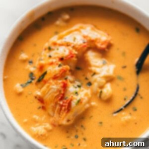 Luxurious Lobster Bisque 16 top view Lobster Bisque