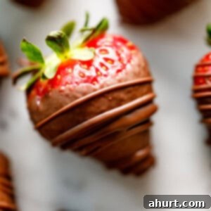 Chocolate-Dipped Strawberries 5 Strawberries Covered in Chocolate