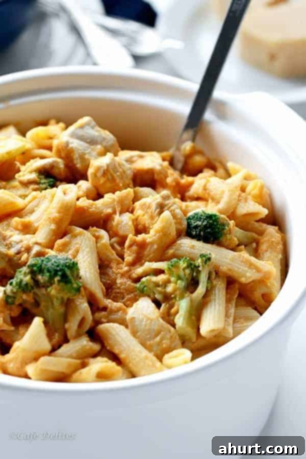 Velvety Pumpkin Chicken Alfredo with Broccoli 3 Pumpkin Chicken and Broccoli Alfredo in a bowl, showcasing the rich, orange sauce