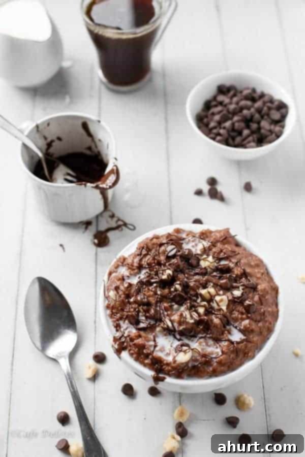 Top view image of Nutella Hot Chocolate Oatmeal Porridge in a bowl