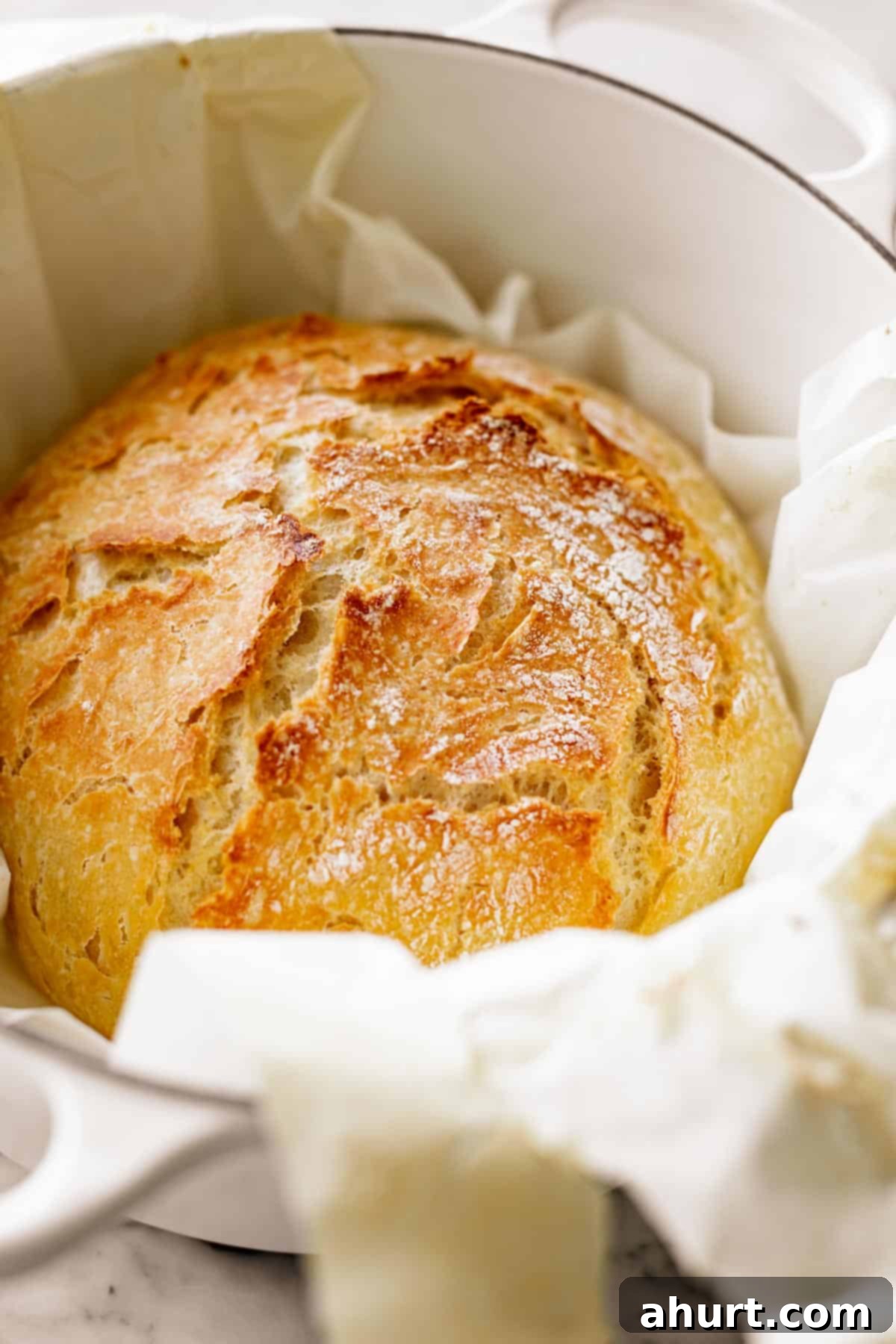 Effortless Artisan Crust: No-Knead Perfection 2 A crispy, golden Artisan Bread dusted with white flour rests in a round, white Dutch oven lined with baking paper. The top, with its small cracks, reveals the fluffy interior of the loaf. The pot is placed on a white marble countertop.