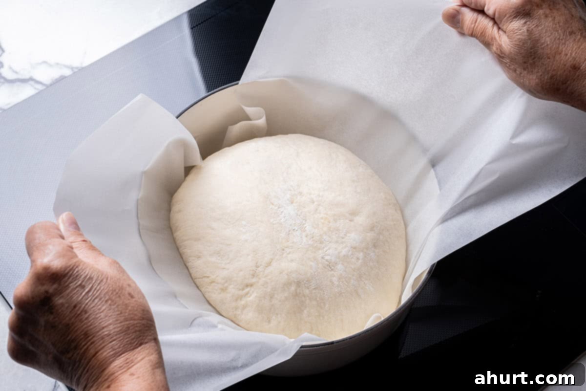 Effortless Artisan Crust: No-Knead Perfection 14 An image of the bread dough being transferred into the Dutch oven while still resting on parchment paper.