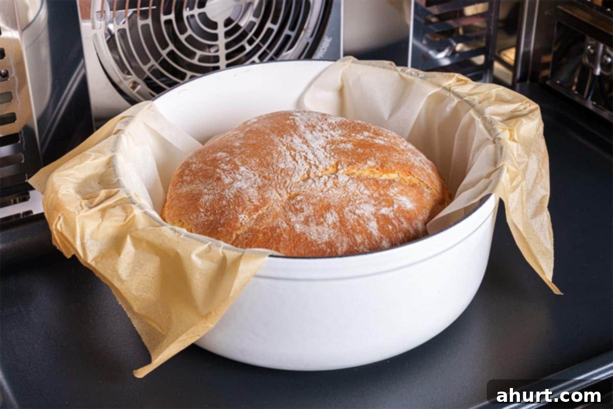 Effortless Artisan Crust: No-Knead Perfection 16 An image of bread still inside a Dutch oven, showcasing a perfectly golden-brown crust.
