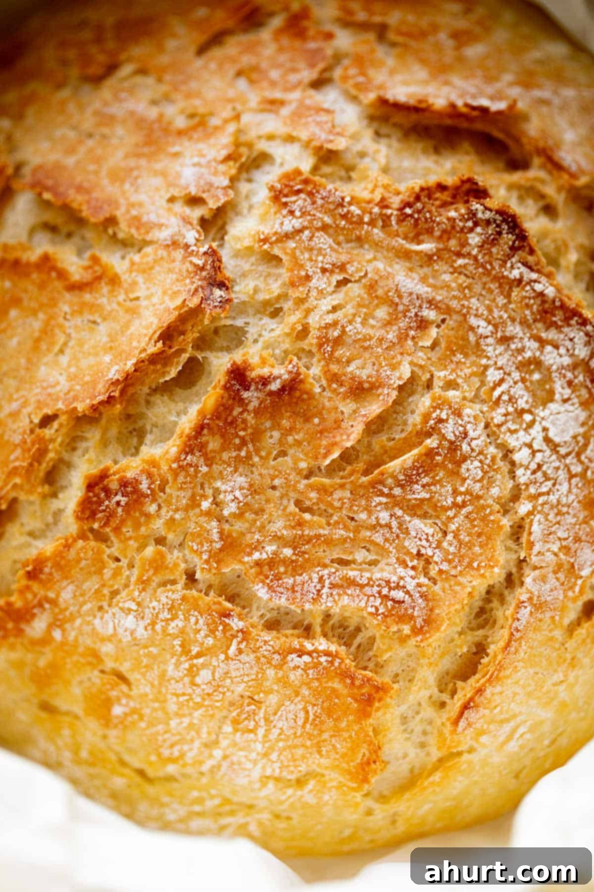 Effortless Artisan Crust: No-Knead Perfection 18 A close up image of the crunchy top of the baked artisan bread.