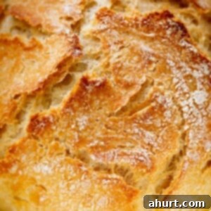 Effortless Artisan Crust: No-Knead Perfection 19 A loaf of Artisan Bread with an for baking.