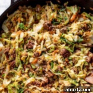 Weeknight Ground Beef Stir-Fry 6 Top view of Ground Beef Recipe.