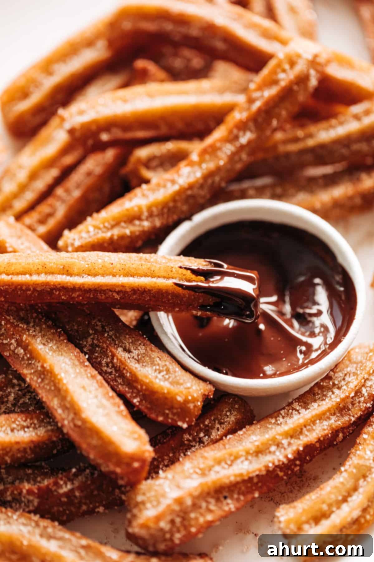 The Ultimate Churros Recipe 2 A close-up image of a plate of churros features a churro raised by a hand, dipped in chocolate dripping sauce.
