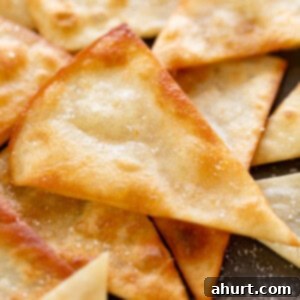 Golden Tortilla Crisps 11 Top view image of Tortilla Chips Recipe