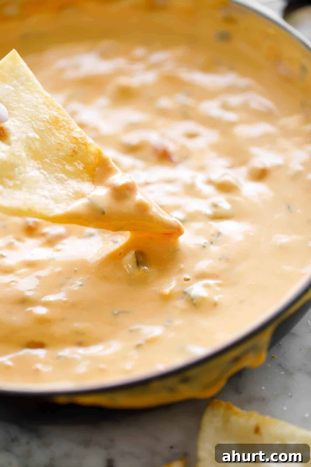 Golden Tortilla Crisps 10 tortilla chips with Queso dip.