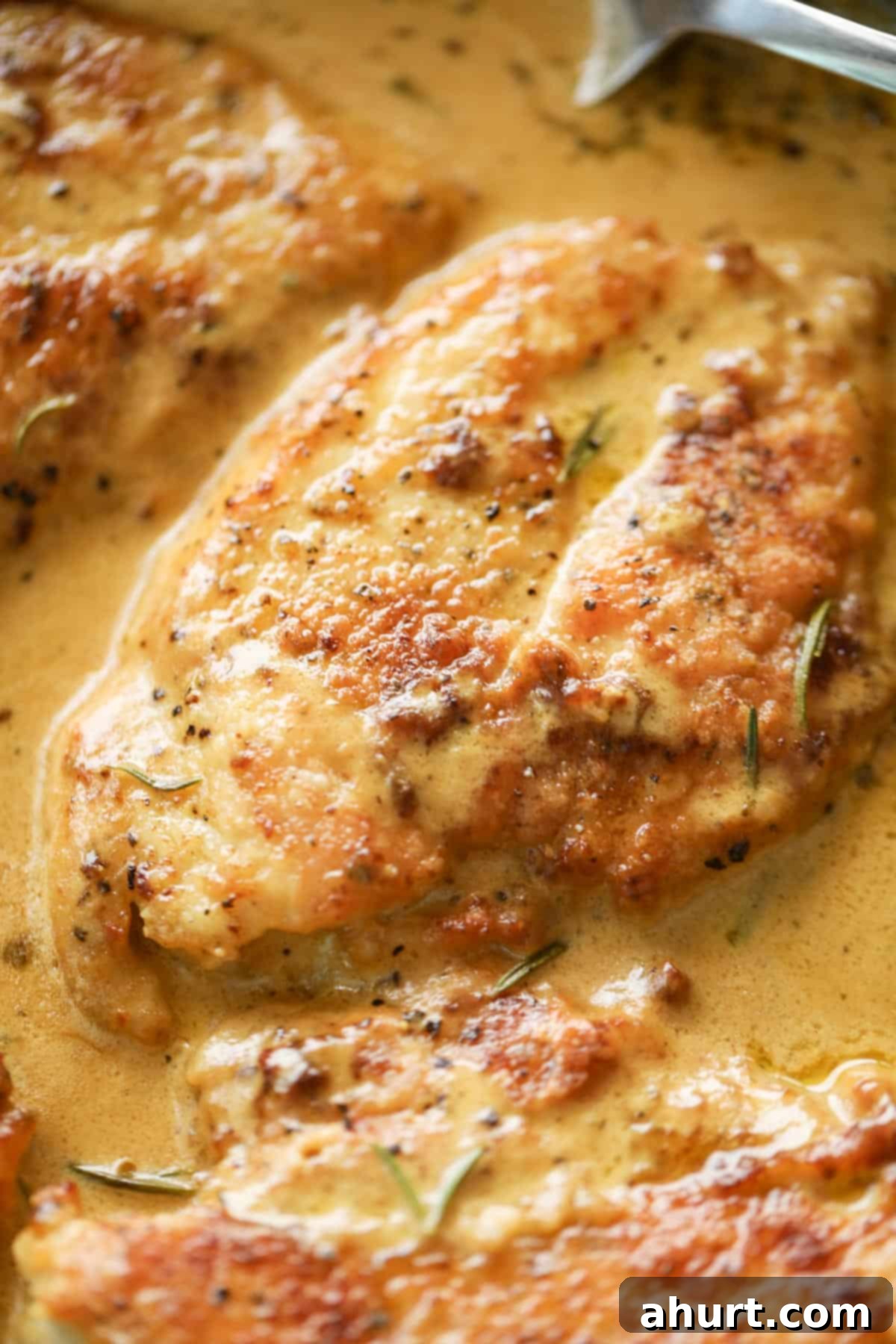 Velvety Dijon Chicken 3 A close up image of one chicken breast piece in a French style Dijon cream sauce, garnished with fresh herbs.