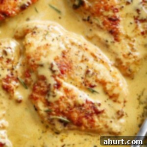 Velvety Dijon Chicken 6 A close up image of one chicken breast piece in a French style Dijon cream sauce