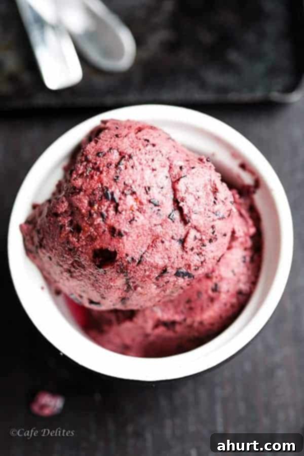 Instant Blueberry Frozen Yogurt in a bowl, garnished with fresh blueberries and a mint leaf, showcasing its creamy texture.