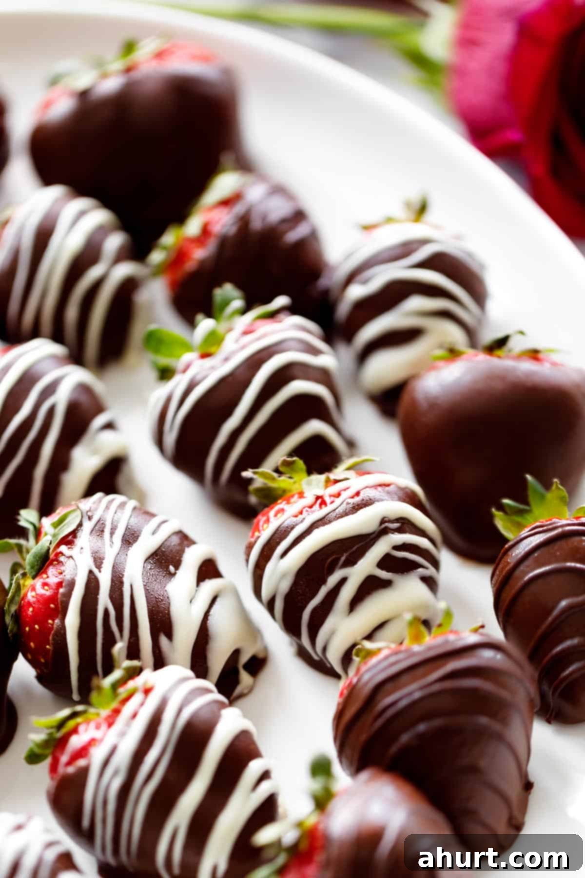 Tipsy Chocolate Strawberries 2 A white plate full of luscious, wine-infused chocolate-coated strawberries, artfully arranged. A delicate rose sits behind the plate for romantic decoration, highlighting the dessert's elegant presentation.