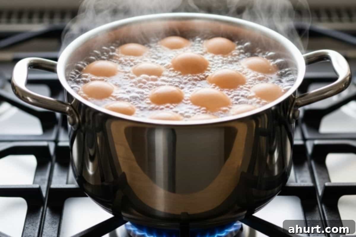 The Ultimate Egg Salad 4 boil the eggs over medium heat in a pot
