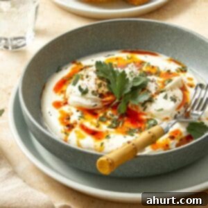 Cilbir Turkish Eggs 11 Poached eggs over creamy yogurt with chili butter and herbs, served with crusty bread.